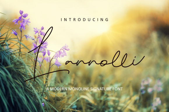 Lannolli: A Playful Script Font for Modern Design