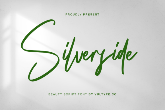 Silverside: A Playful Script for Creative Expression